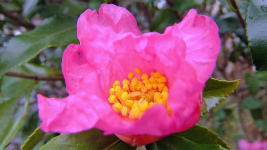 S0204020.jpg