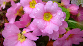 S0484048.jpg