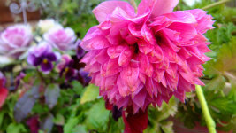 S0524052.jpg
