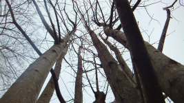 S0552055.jpg
