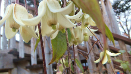 S0752075.jpg
