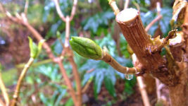 S0804080.jpg